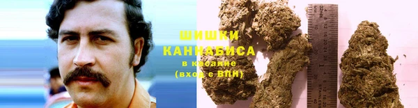 амф Аркадак